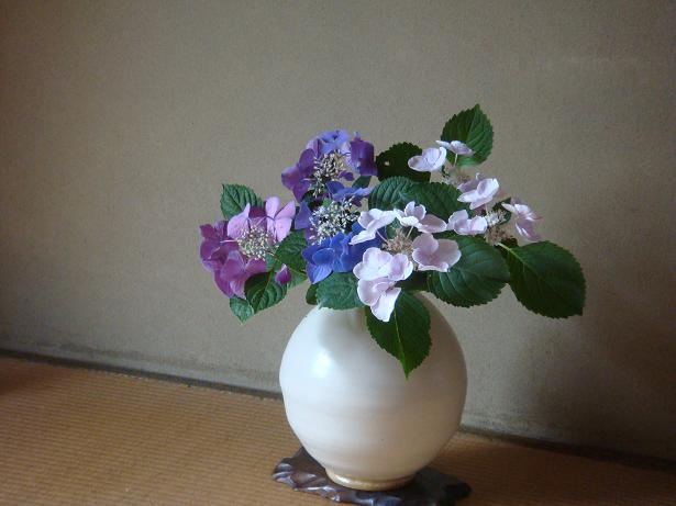 ajisai-100.jpg