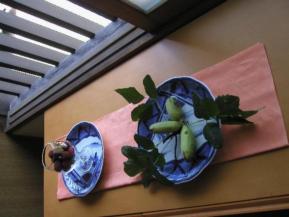 akebi-yamamomo.jpg