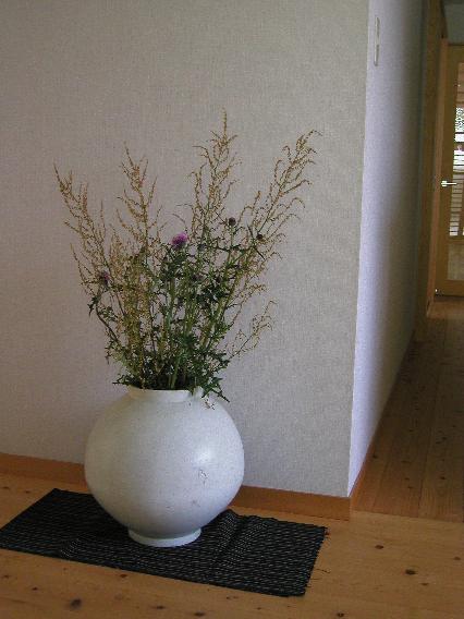 azami-himesuiba-38.jpg