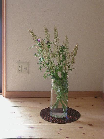azami-himesuiba.jpg