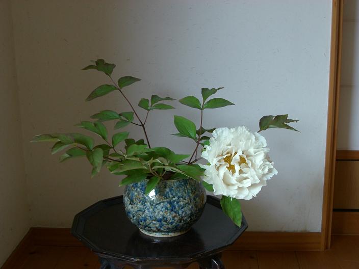 botann-74.jpg