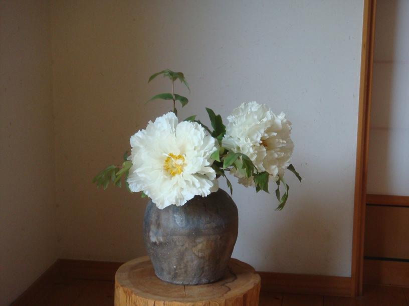 botann-98.jpg