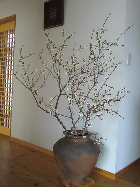 hakubai-107.jpg