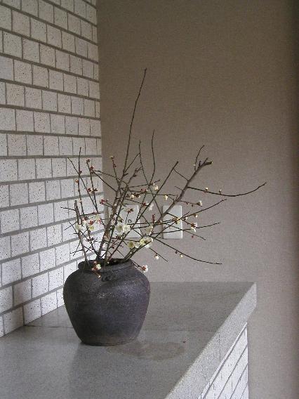 hakubai-35.jpg