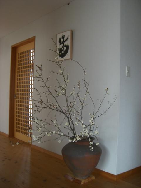 hakubai-83.jpg