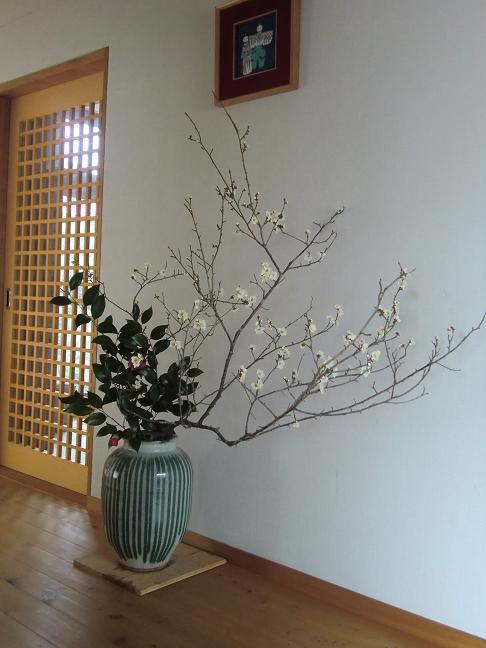 hakubai-tubaki.jpg