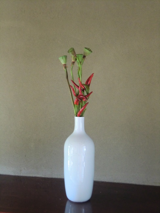 hasu-tougarasi.jpg