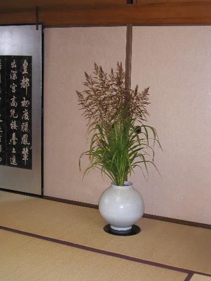 hoxtusugaya-zasiki.jpg