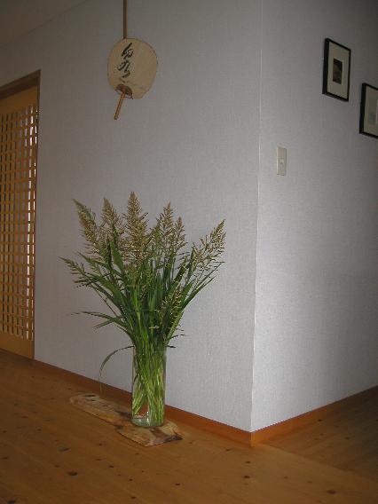 hoxtuzugaya-40.jpg