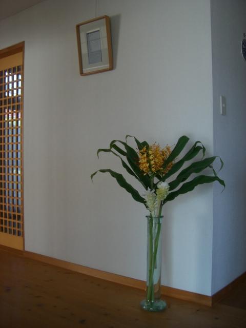 jinnjya-ukonn.jpg