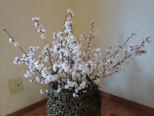 keiousakura-131.jpg