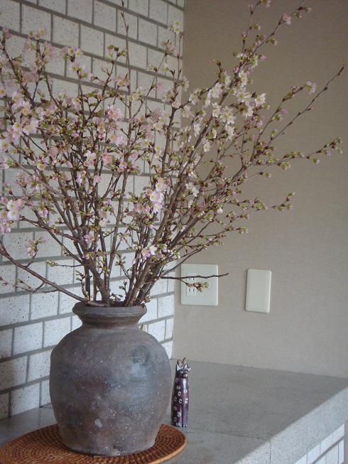 keiouzakura-95-2.jpg