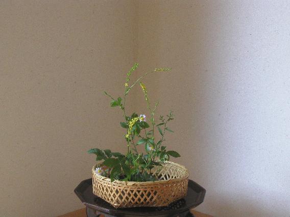 kinnmizuhiki-yomena.jpg