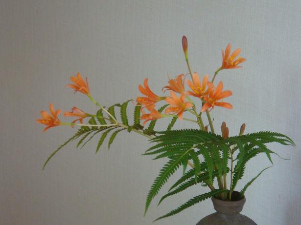 kitunenokamisori-sida.jpg