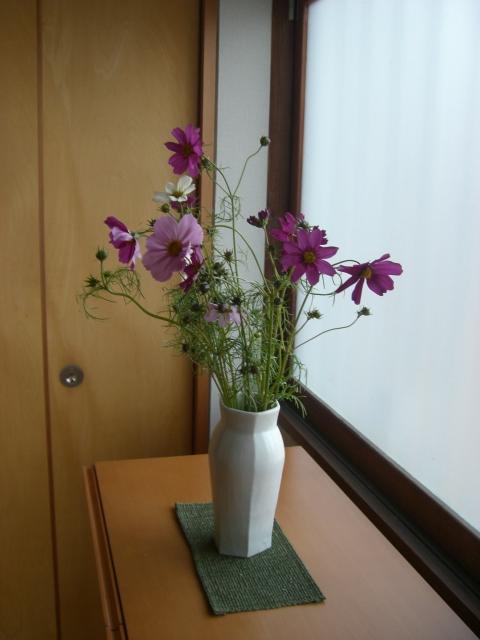kosumosu-92.jpg
