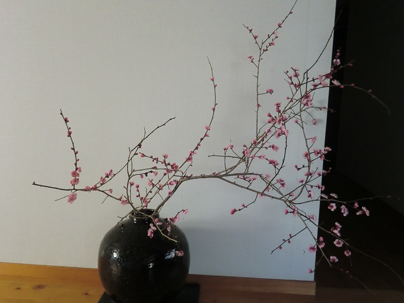 koubai-155-1.jpg