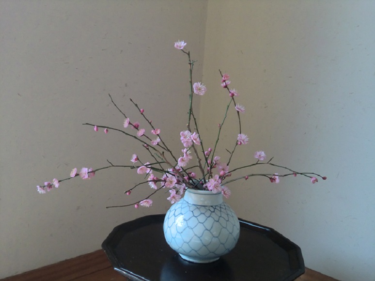 koubai-155-2.jpg