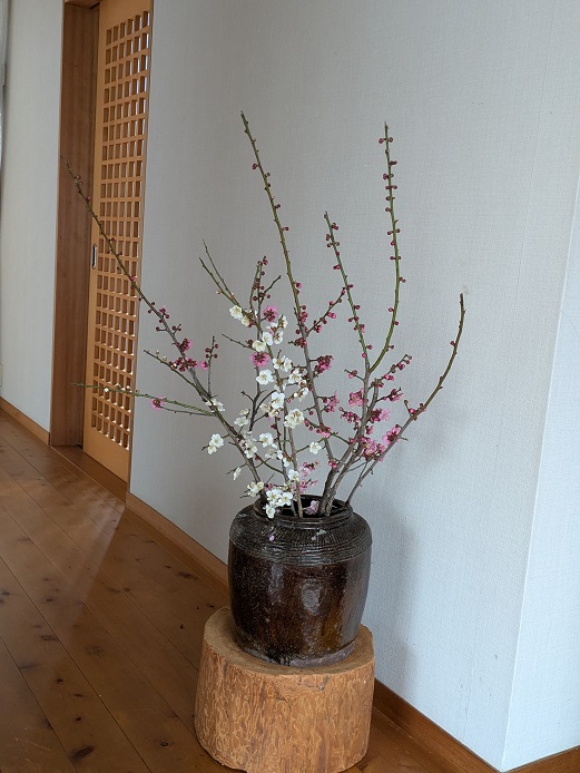 koubai-hakubai-270.jpg