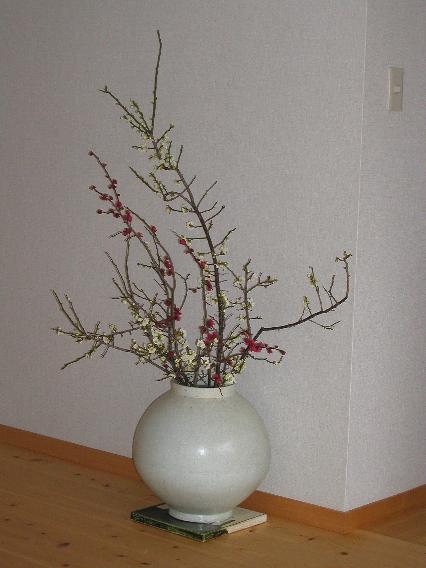 koubai-hakubai.jpg