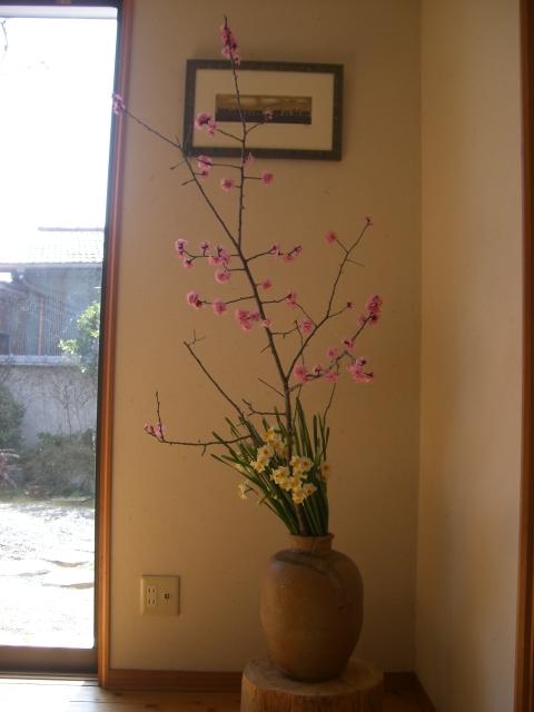 koubai-suisenn.jpg