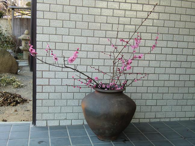 koubai108.jpg