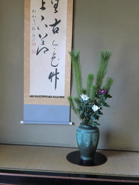 matu-kiku.jpg