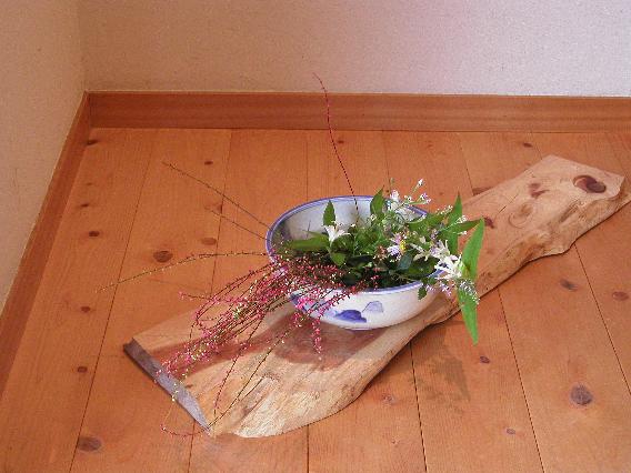 mizubikisou-yomena-sirohototogisu.jpg