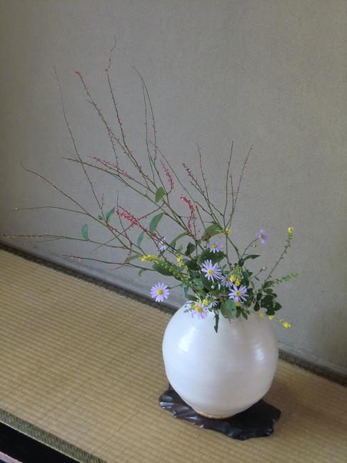 mizuhikisou-kinnmizuhiki-yomena.jpg