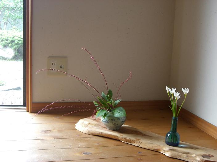 mizuhikisou-tamasudare.jpg