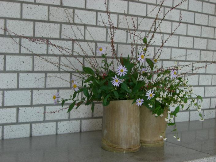 mizuhikisou-yomena-mizosoba.jpg