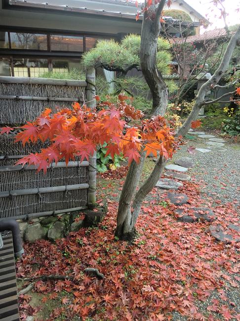 momiji-129.jpg