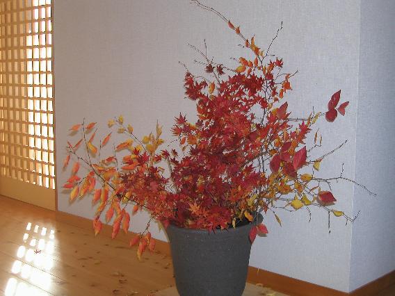 momiji-45.jpg