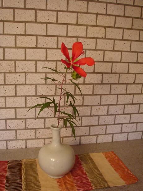 momijiaoi-102.jpg