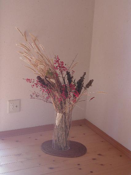 nanntenn-enokorogusa-kibi.jpg