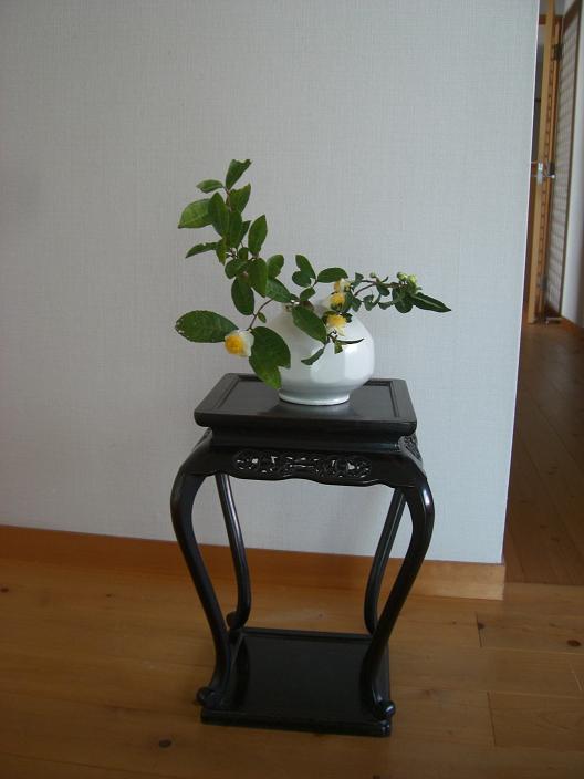 ocya-79.jpg