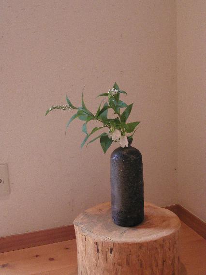 okatoranoo-hotarubukrro.jpg