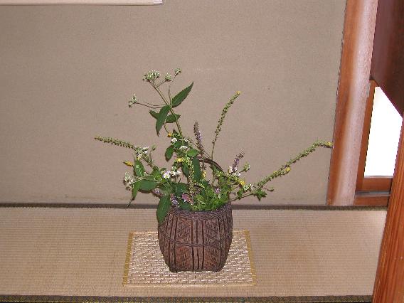 otokoesi-kinnmizuhiki-akinotamurasou.jpg
