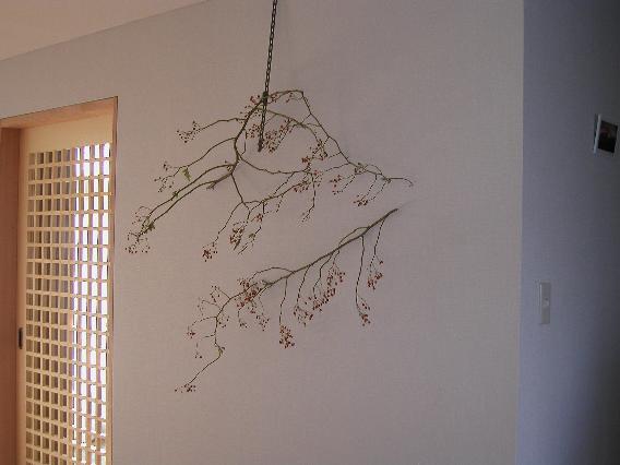 nobara-mi.jpg