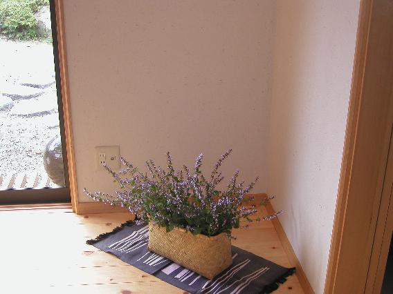 yamahaxtuka.jpg