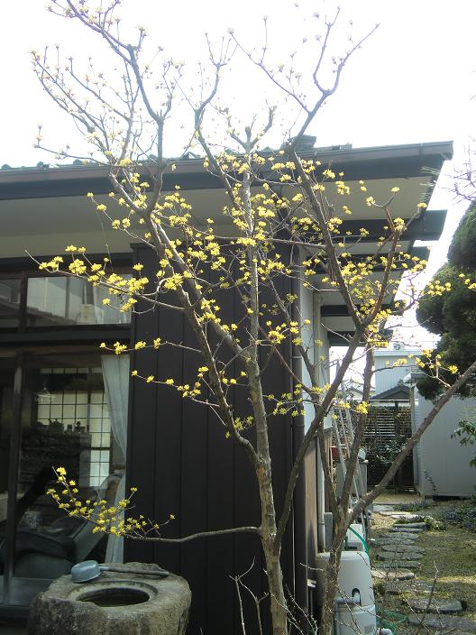 sannsyuyu-144.jpg