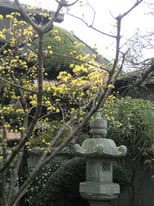 sannsyuyu-156.jpg