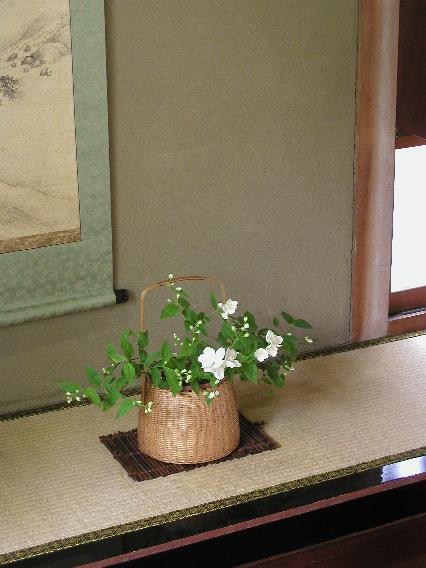 satukibai-26.jpg