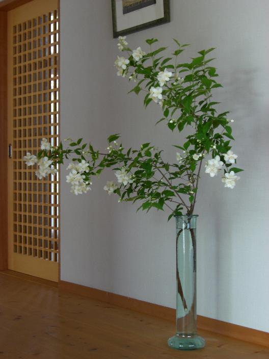 satukibai-62.jpg