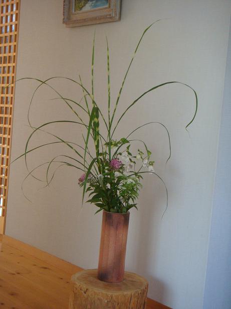 simotuke-kaya-hotarubukuro-okatoranoo.jpg