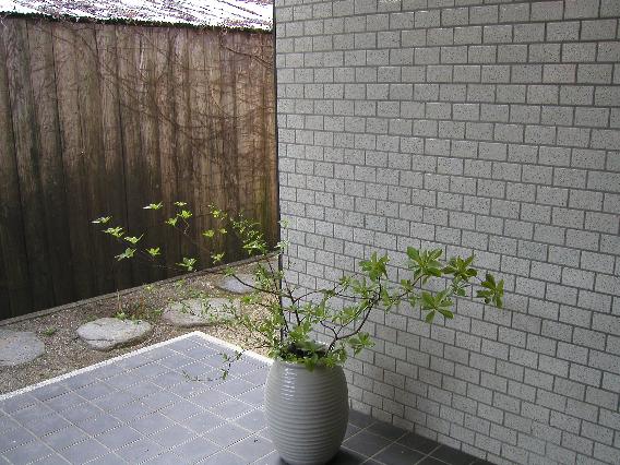 sinnryoku-37.jpg