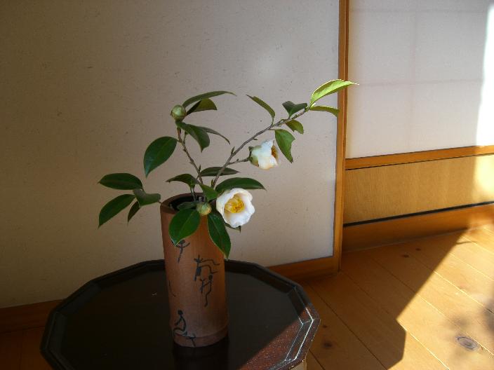 siratamatubaki-1.jpg