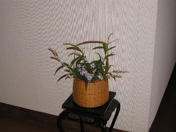 sirobanasakuratade-yomena10.jpg