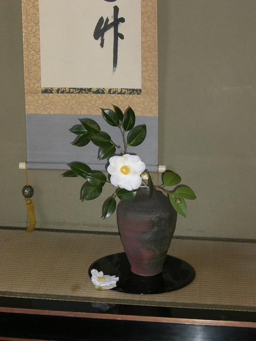 sirotubaki-70.jpg