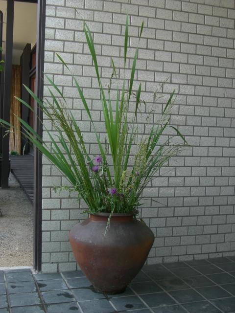 sougenn.jpg