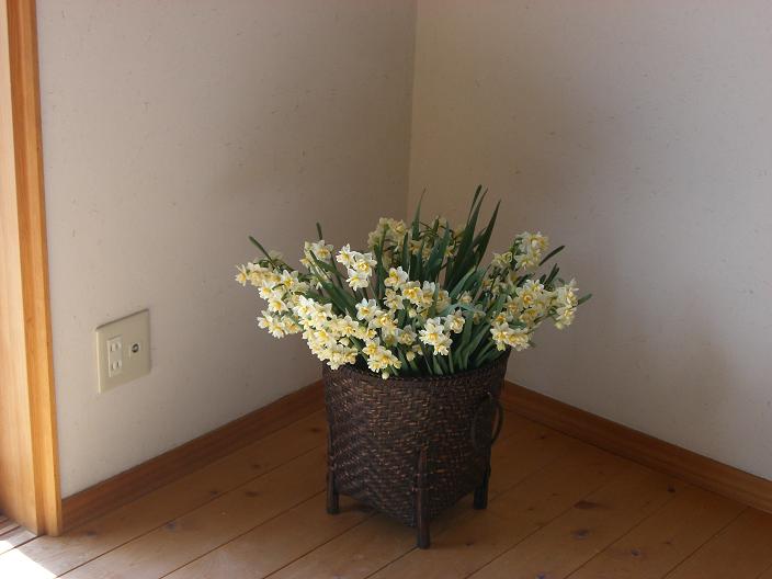 suisenn-71.jpg
